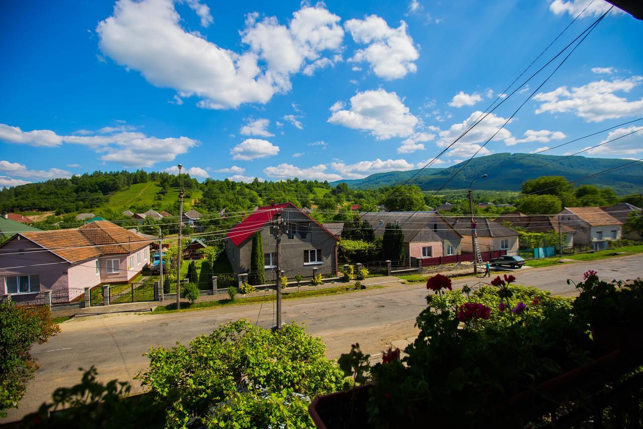 Guest House In Drachino Svalyava Bagian luar foto