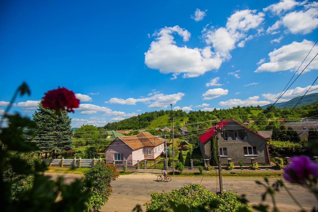 Guest House In Drachino Svalyava Bagian luar foto