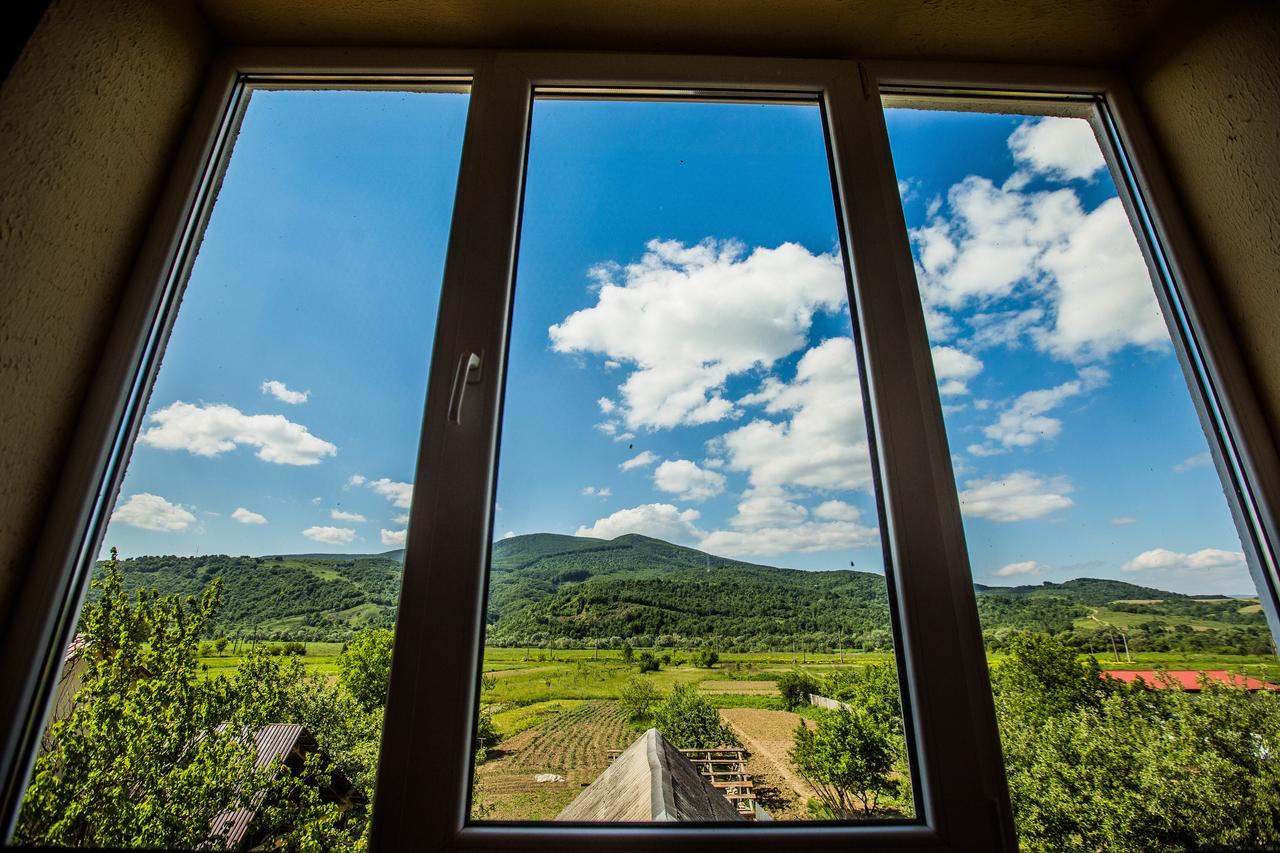 Guest House In Drachino Svalyava Bagian luar foto