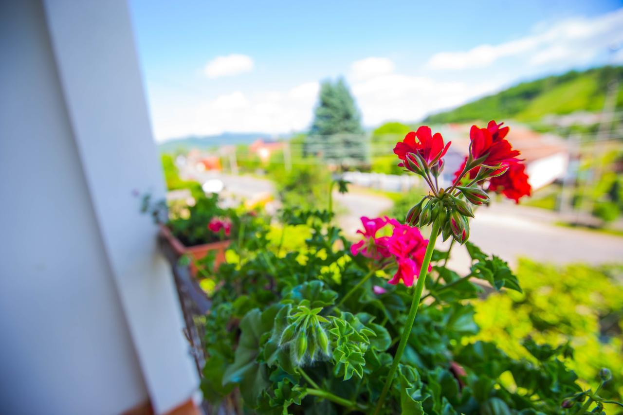 Guest House In Drachino Svalyava Bagian luar foto